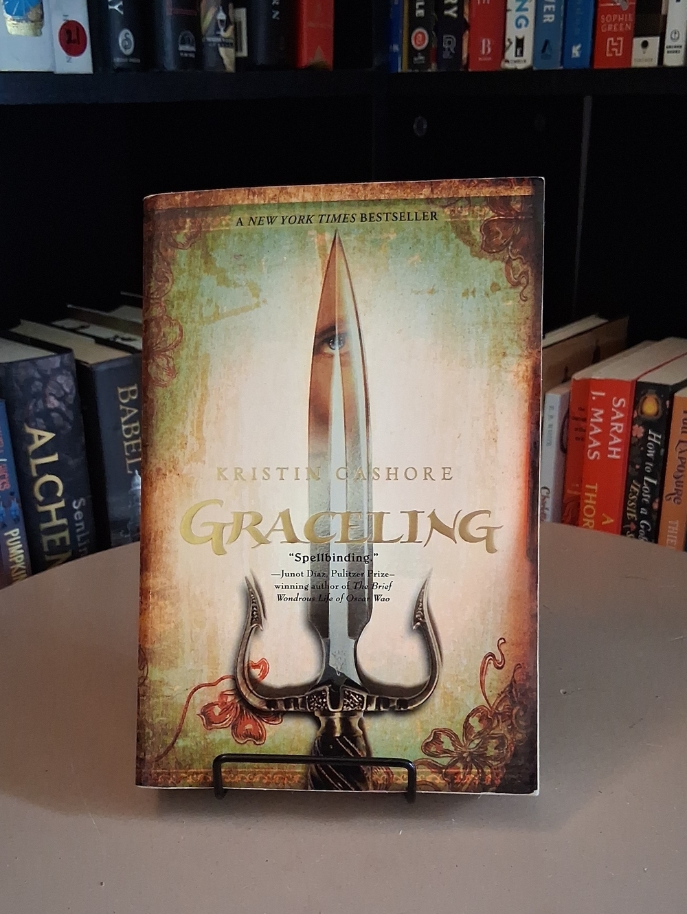 Graceling by Kristin Cashore